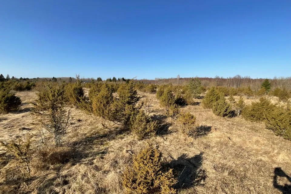 Residential land, 20265 m² land in Harku vald, Adra küla - photo 2