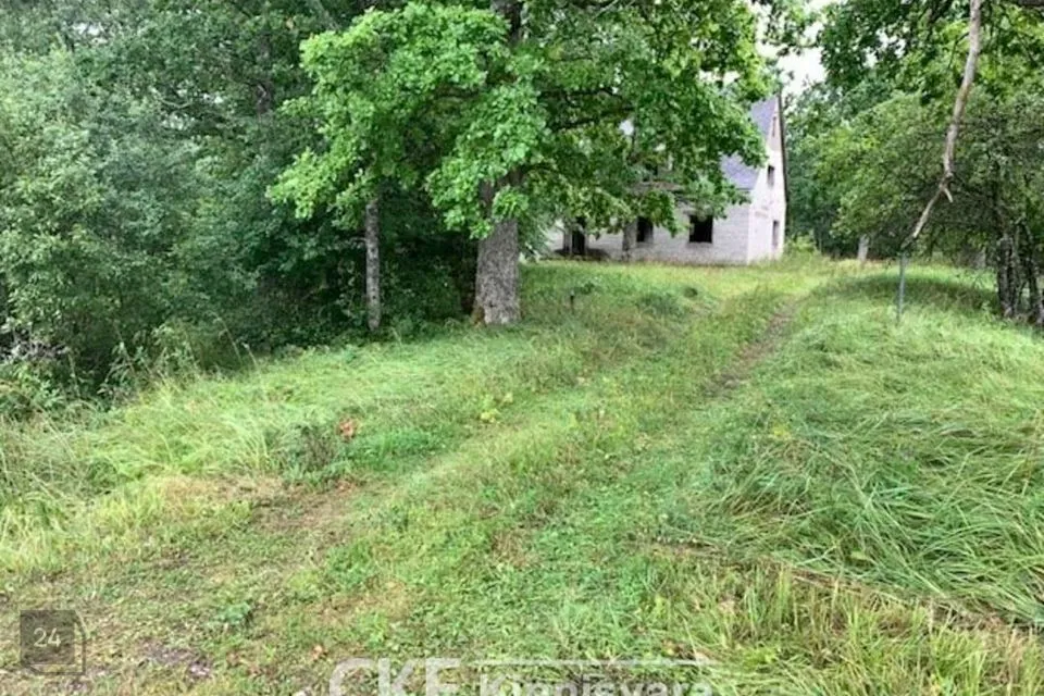 29800 m² Maa  -  Lääneranna vald, Sookatse küla - foto 2