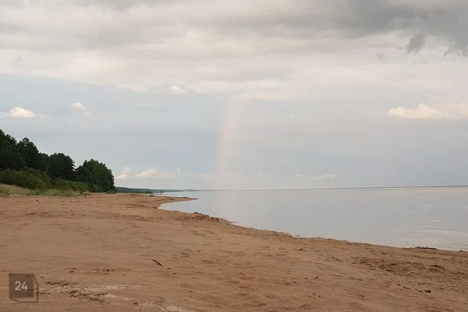 Земля жилой застройки, 2500 m² участок в Alutaguse vald, Kuru küla - фото 5