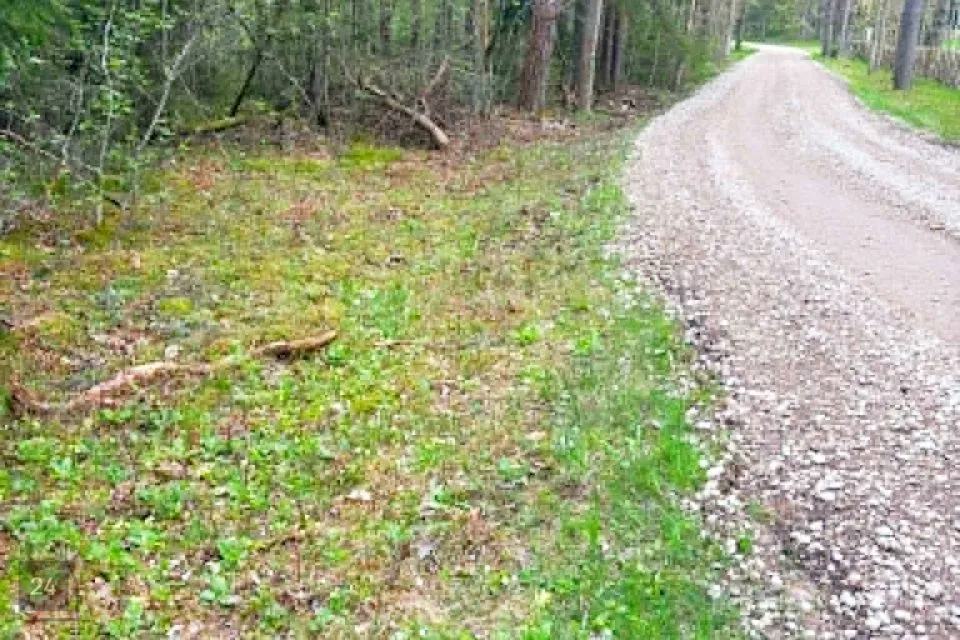 Maatulundusmaa, 14815 m² участок в Hiiumaa vald, Kaleste küla - фото 4