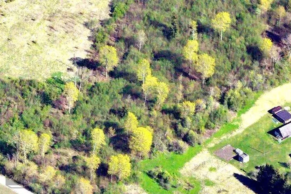 Земля жилой застройки, 11785 m² участок в Lääne-Nigula vald, Vedra küla - фото 2