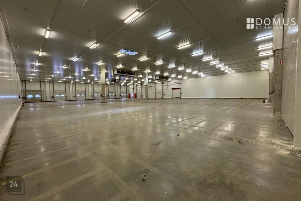 Ladu või Tootmine, 2816 m² Äripind  -  Saku vald, Tänassilma küla - foto 2
