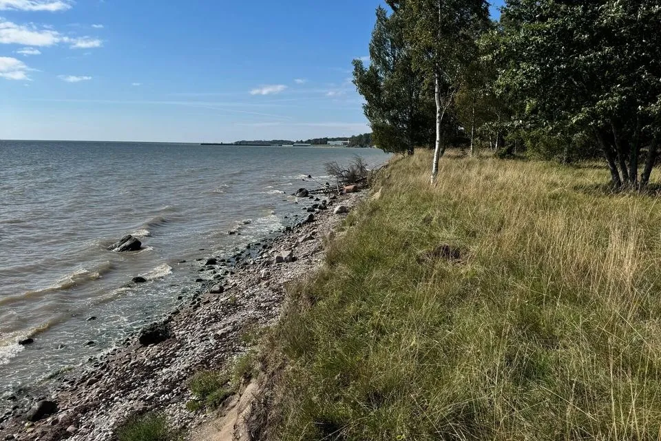 Elamumaa, 12034 m² Maa  -  Saaremaa vald, Mõntu küla - foto 3