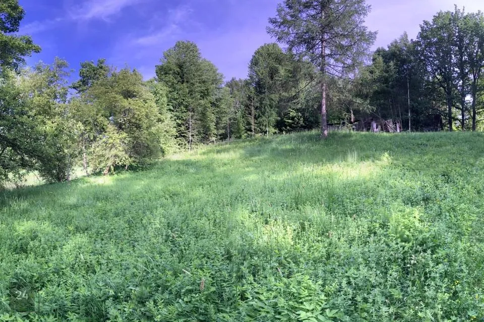 Elamumaa, 1603 m² Maa  -  Märjamaa vald, Velise küla