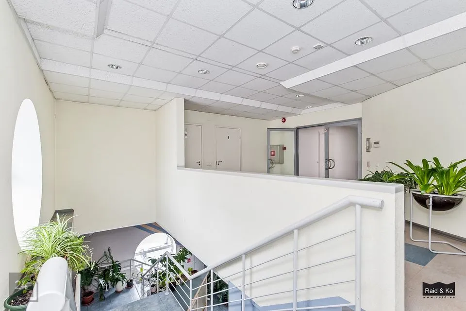 Büroo või Teenindus, 26 m² Äripind  -  Tallinn, Lasnamäe linnaosa - foto 5