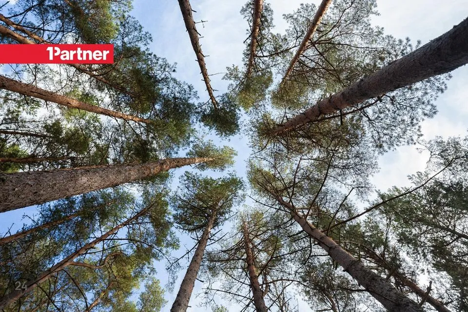 Elamumaa, 7006 m² Maa - Jõelähtme vald, Ihasalu küla - foto 4