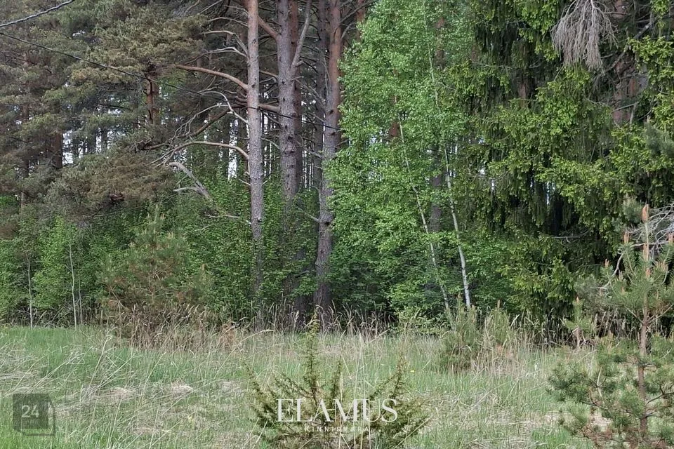 Земля жилой застройки, 4504 m² участок в Lääne-Nigula vald, Paslepa küla / Pasklep - фото 3