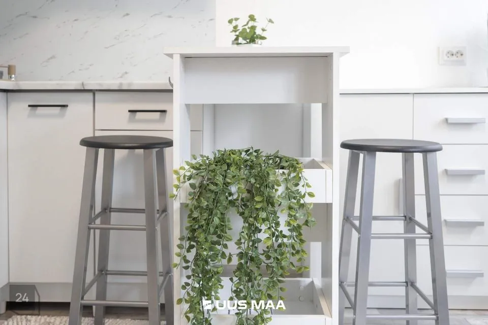 1-toaline Korter  -  Tallinn, Põhja-Tallinna linnaosa - foto 3