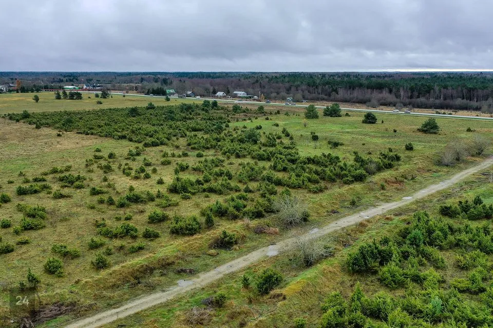 Maatulundusmaa, 23576 m² Maa  -  Harku vald, Muraste küla - foto 4