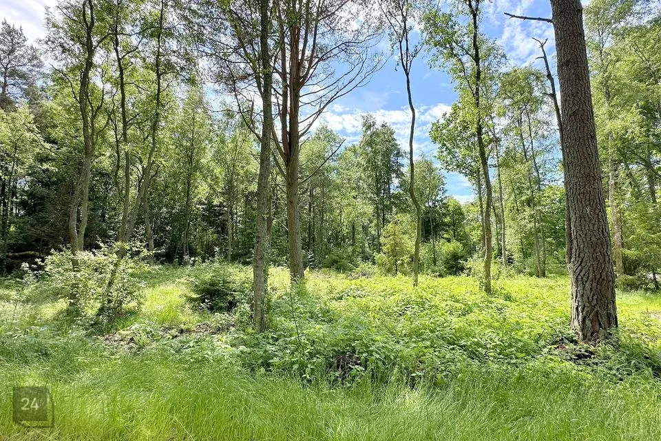 Elamumaa, 1307 m² Maa - Viimsi vald, Randvere küla - foto 5