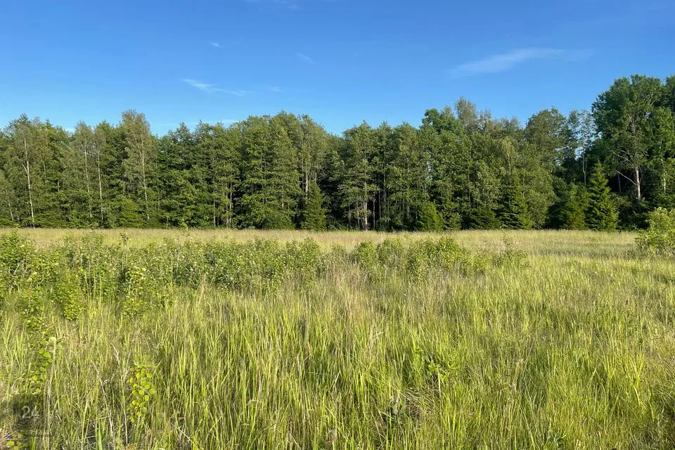 Maatulundusmaa, 26555 m² Maa - Saaremaa vald, Mõntu küla - foto 2