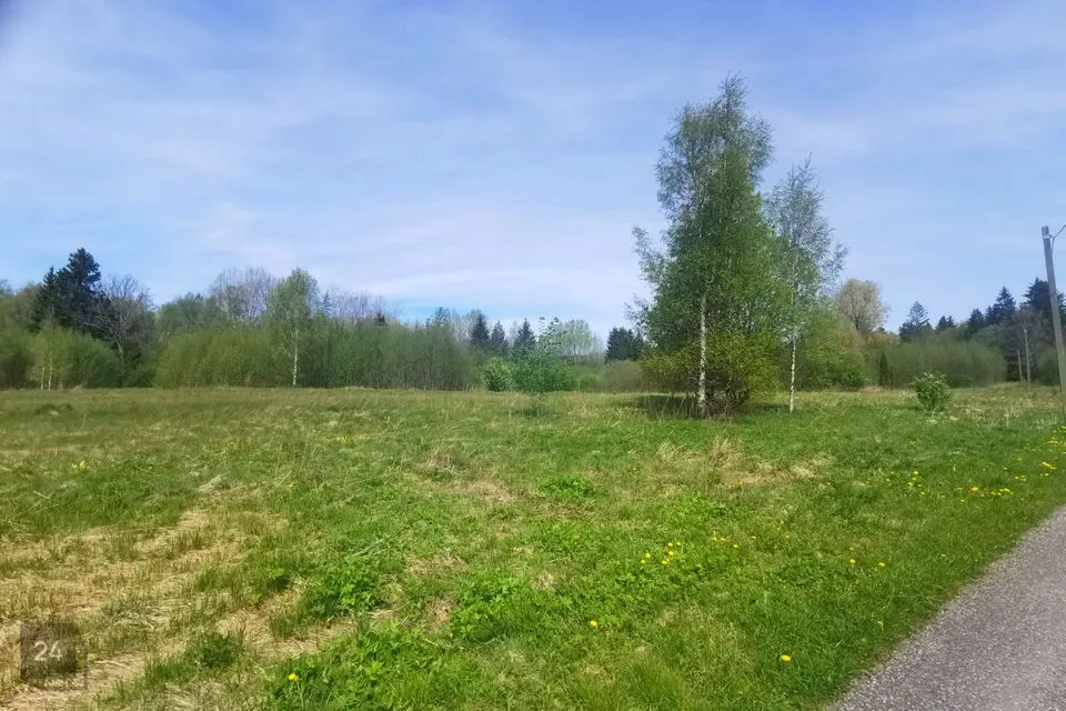 Cultivated land, 21300 m² land in Lääne-Nigula vald, Keedika küla - photo 3