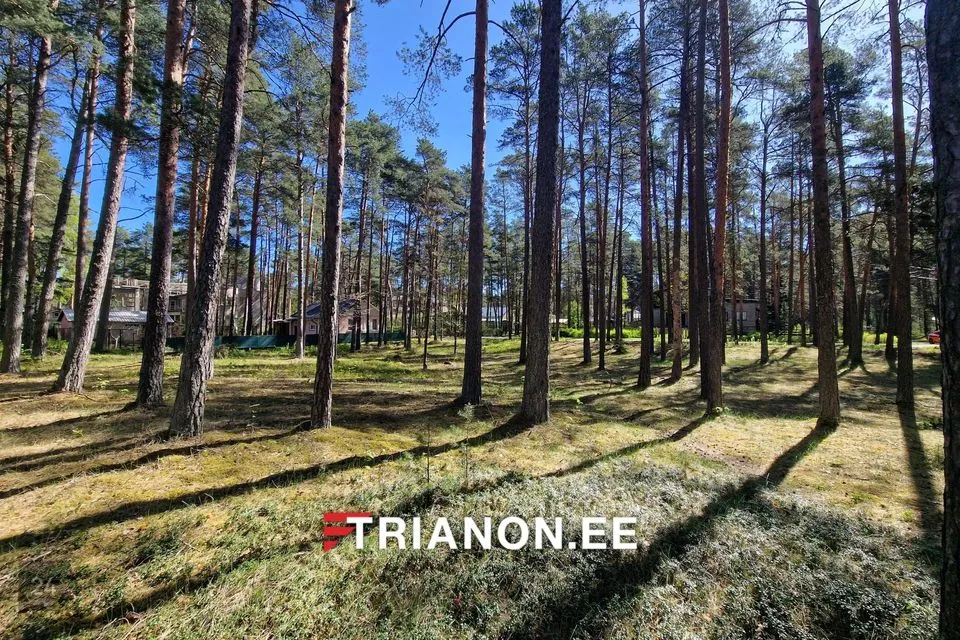 Elamumaa, 1463 m² Maa - Narva-Jõesuu linn, Narva-Jõesuu linn - foto 5