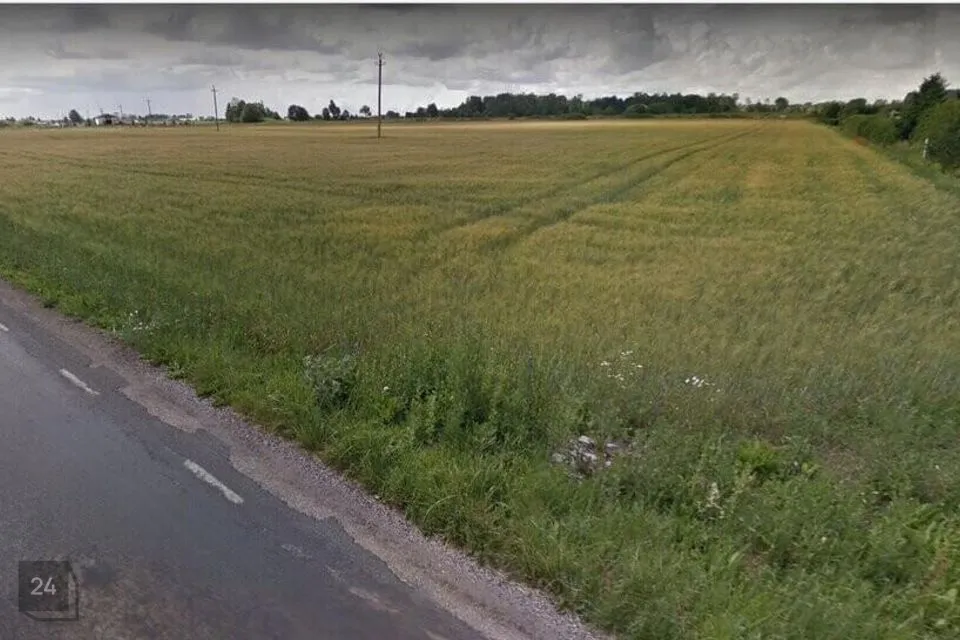 45300 m² Maa - Saue vald, Alliku küla - foto 3