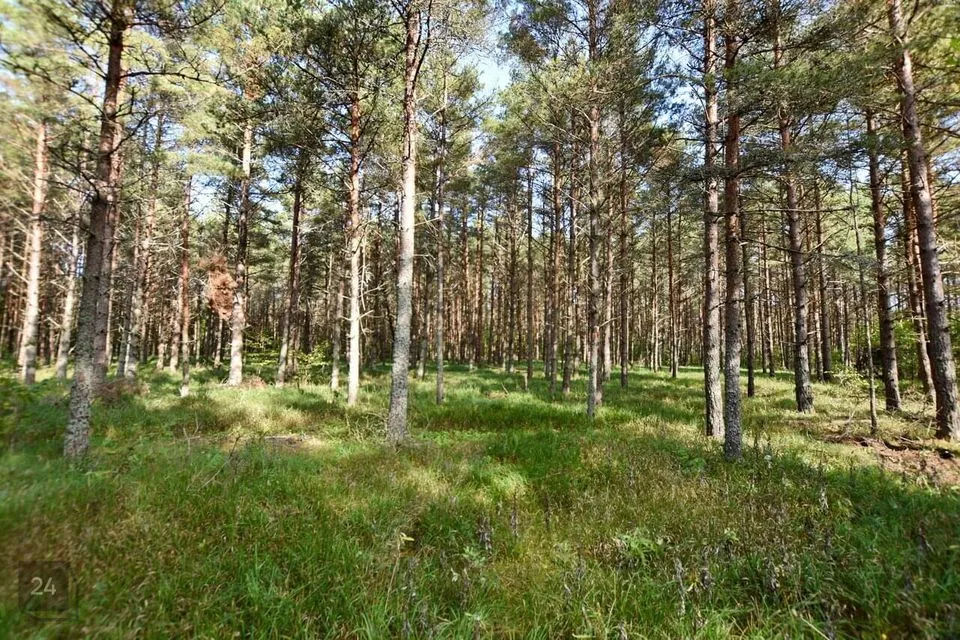 Maatulundusmaa, 38300 m² Maa  -  Muhu vald, Viira küla - foto 4