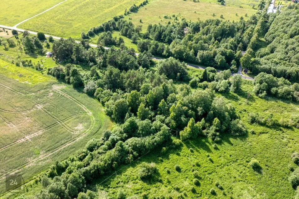 Elamumaa, 12557 m² Maa - Lääne-Nigula vald, Paslepa küla / Pasklep