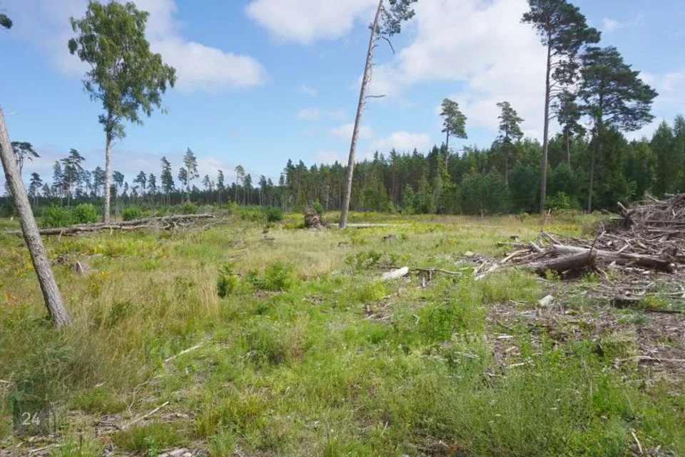 Maatulundusmaa, 32000 m² Maa  -  Hiiumaa vald, Kalana küla - foto 3