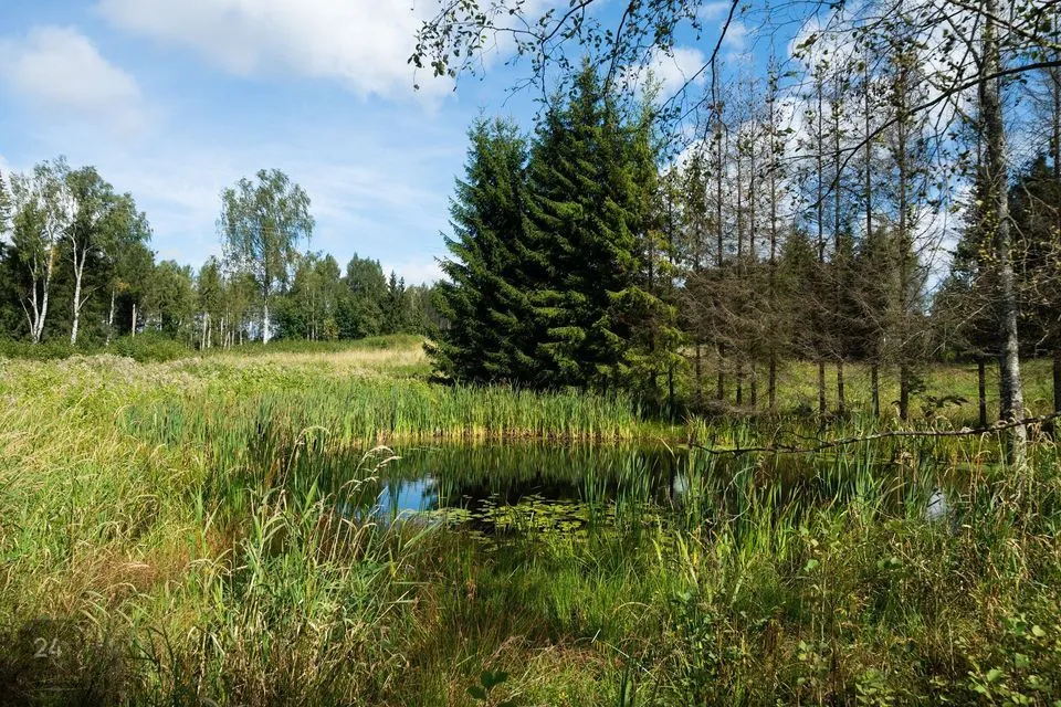 Elamumaa, 8506 m² Maa  -  Võru vald, Mäekülä - foto 3