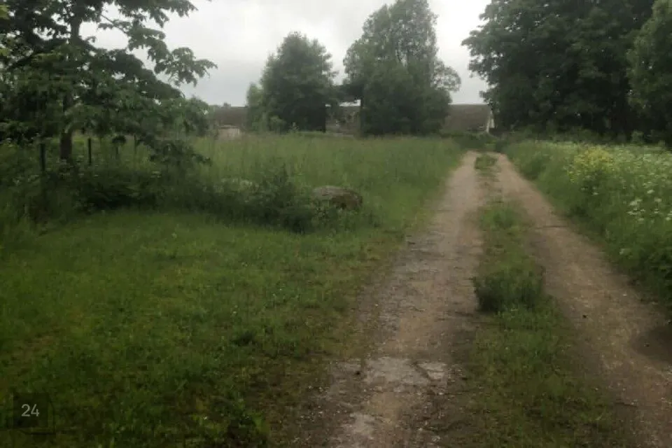 Tootmismaa, 1727 m² Maa  -  Rapla vald, Purku küla - foto 5