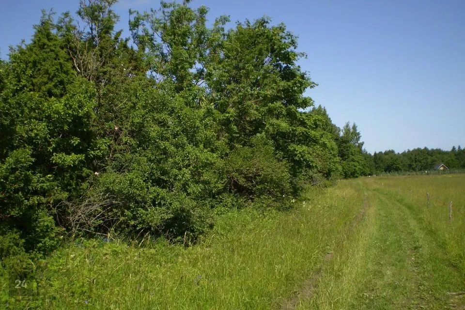 Maatulundusmaa, 27500 m² Maa  -  Muhu vald, Lehtmetsa küla - foto 2