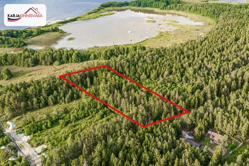 Maatulundusmaa, 7007 m² Maa  -  Lääne-Harju vald, Alliklepa küla - foto 2
