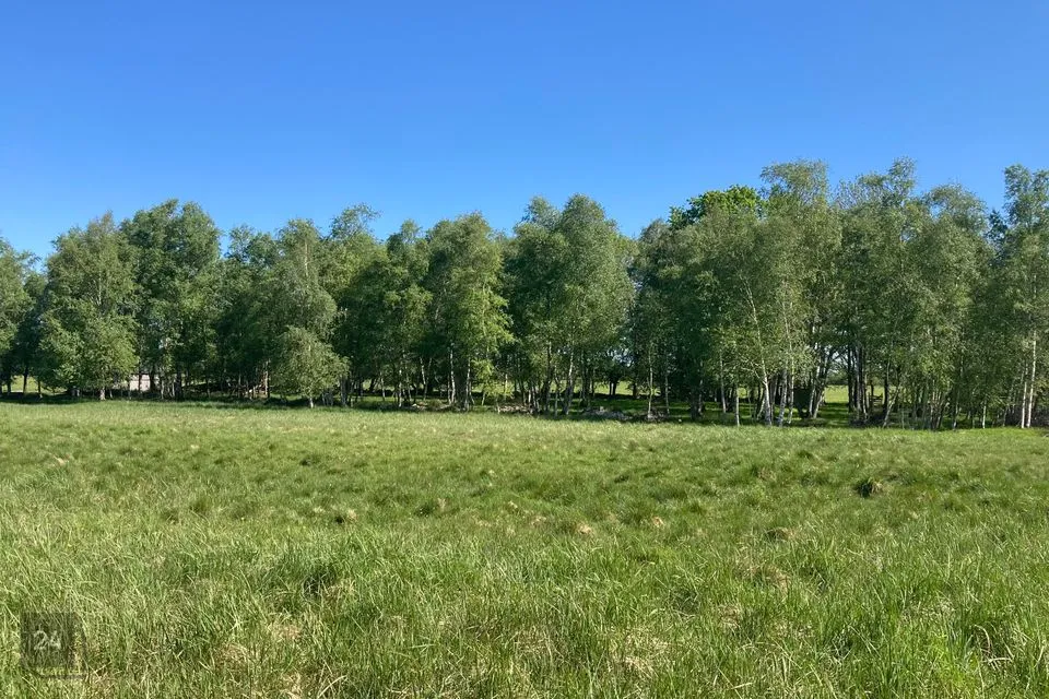 Maatulundusmaa, 10695 m² Maa - Saaremaa vald, Virita küla - foto 2