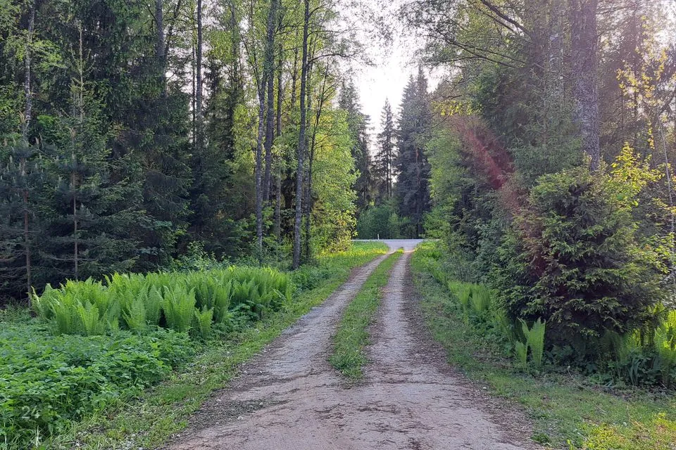 3-toaline Suvila  -  Kohila vald, Loone küla - foto 4