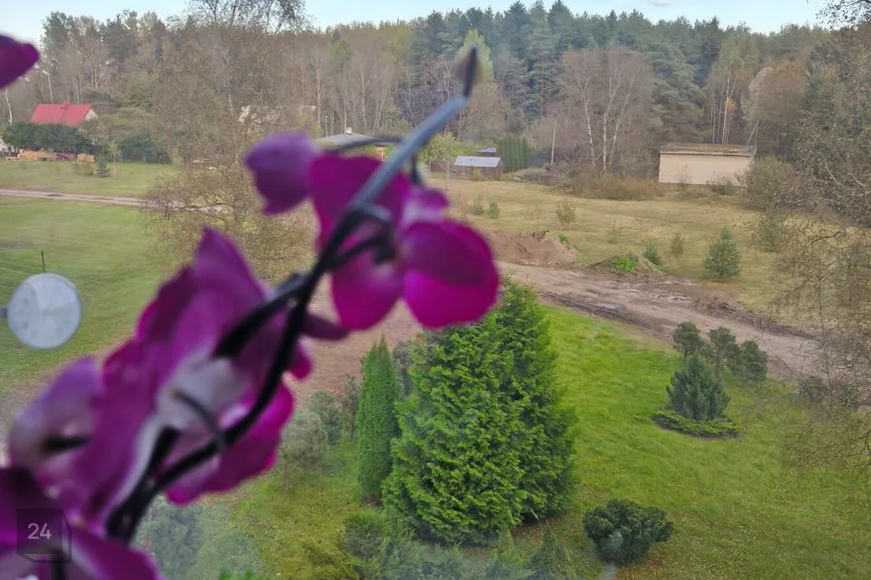 1-toaline Korter  -  Lüganuse vald, Püssi linn - foto 4