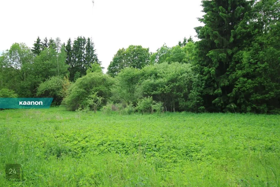 Elamumaa, 2118 m² Maa - Kambja vald, Pangodi küla