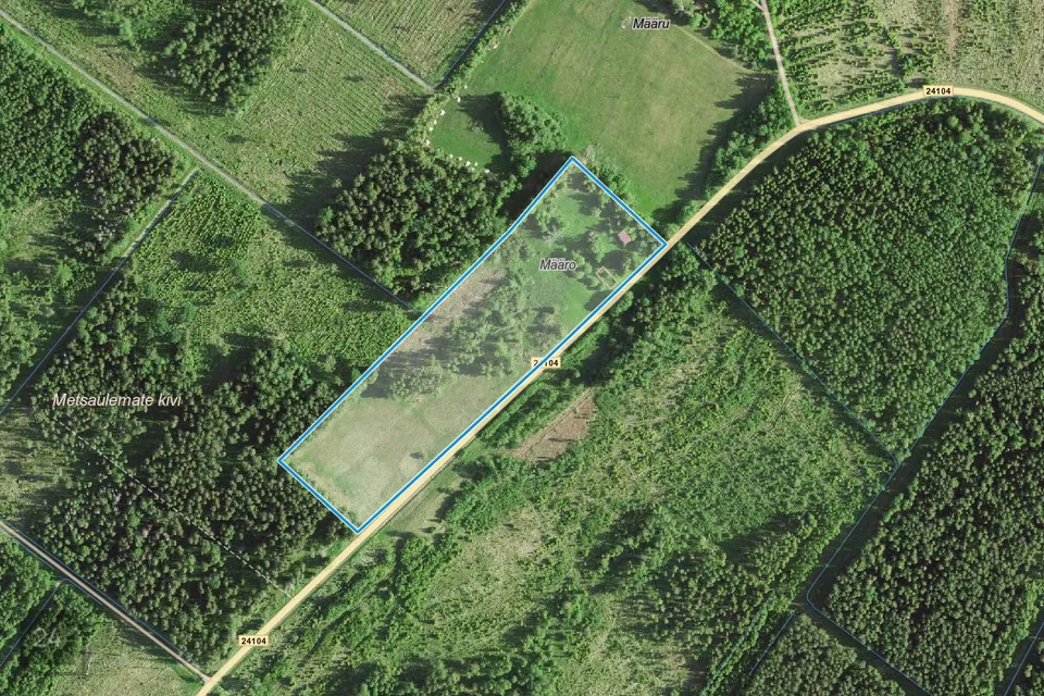 Maatulundusmaa, 37484 m² Maa  -  Türi vald, Rassi küla - foto 5