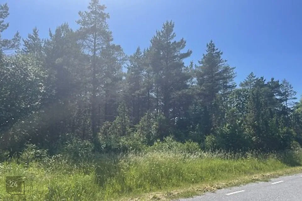 Maatulundusmaa, 41102 m² Maa  -  Saaremaa vald, Kõrkvere küla - foto 2