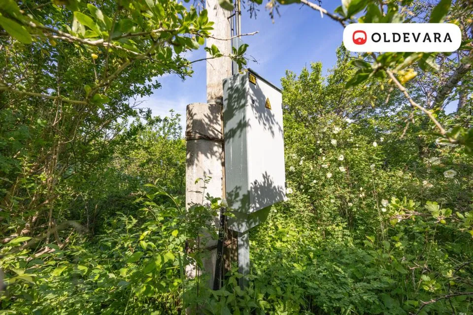 Elamumaa, 1518 m² Maa  -  Harku vald, Türisalu küla - foto 4
