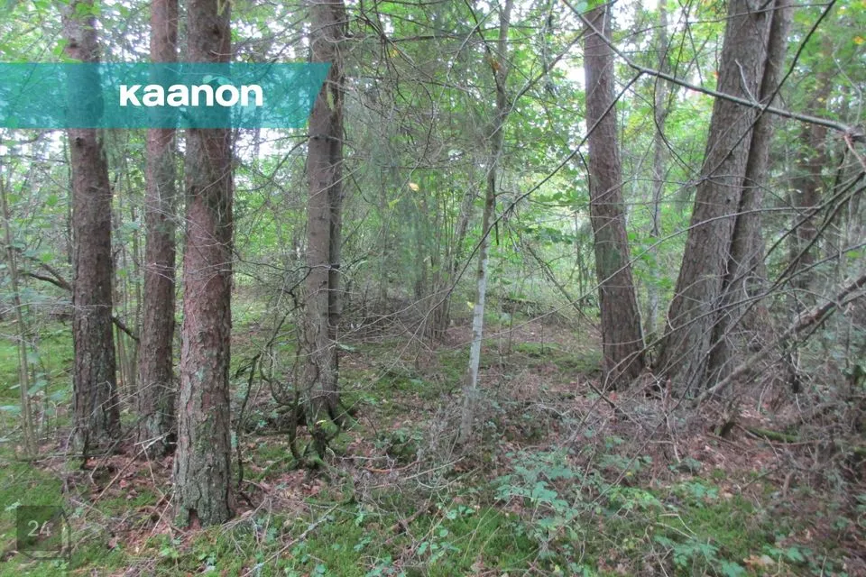 23498 m² Maa - Lääne-Harju vald, Lehola küla - foto 3