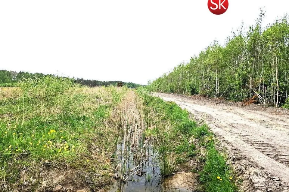 Земля жилой застройки, 5317 m² участок в Lääne-Nigula vald, Tahu küla / Skåtanäs - фото 5