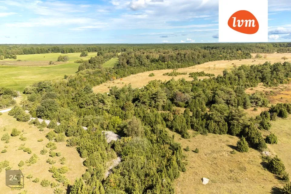 Maatulundusmaa, 28300 m² Maa  -  Saaremaa vald, Karala - foto 3