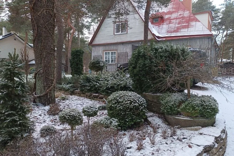 1-toaline Korter  -  Tallinn, Nõmme linnaosa - foto 3