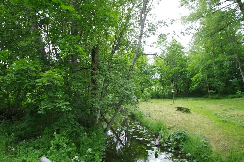 Maatulundusmaa, 20100 m² Maa - Anija vald, Lükati küla - foto 5