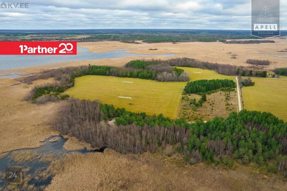 Maatulundusmaa, 114871 m² Maa  -  Lääne-Nigula vald, Saare küla / Lyckholm - foto 4