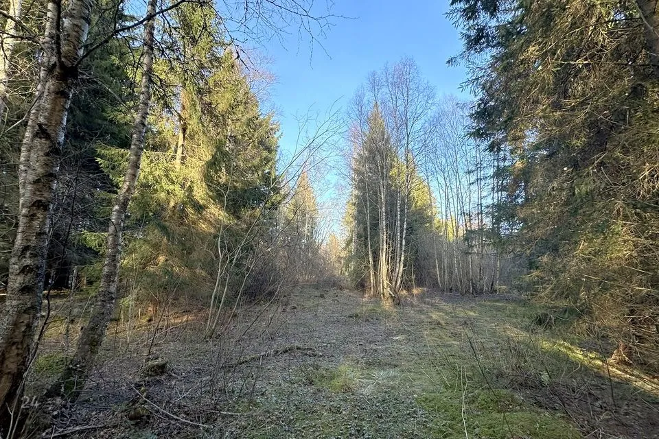 Elamumaa, 28900 m² Maa - Harku vald, Naage küla