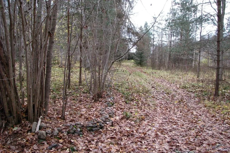 Elamumaa, 3298 m² Maa  -  Peipsiääre vald, Alatskivi alevik - foto 4