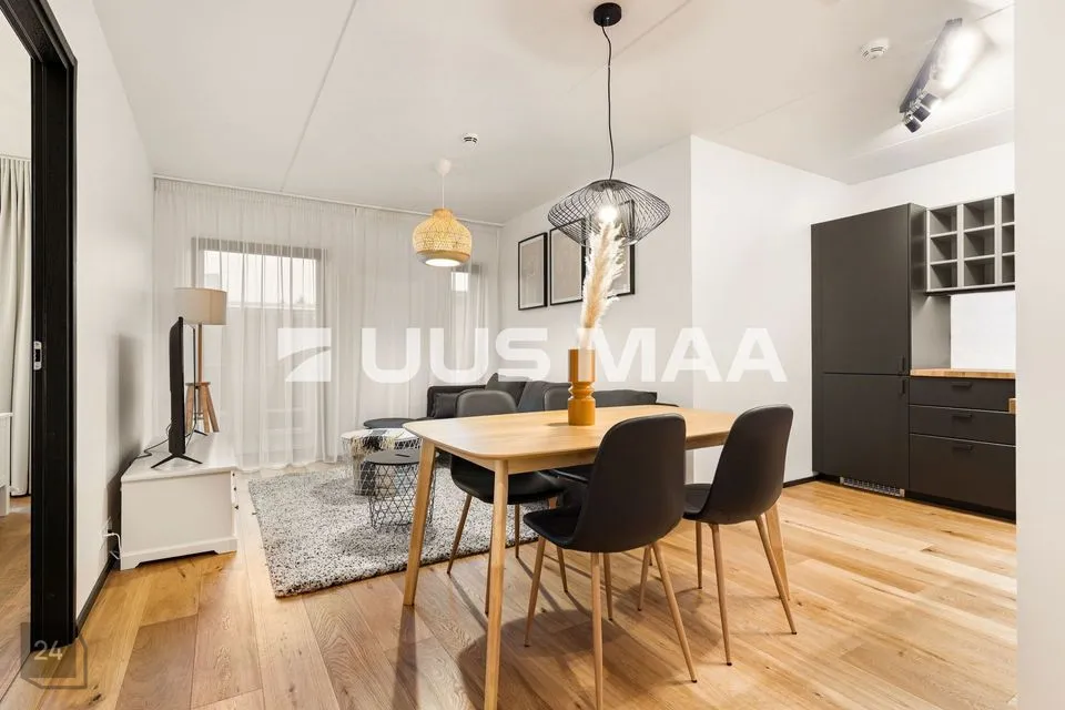 2-toaline Korter  -  Tallinn, Kristiine linnaosa