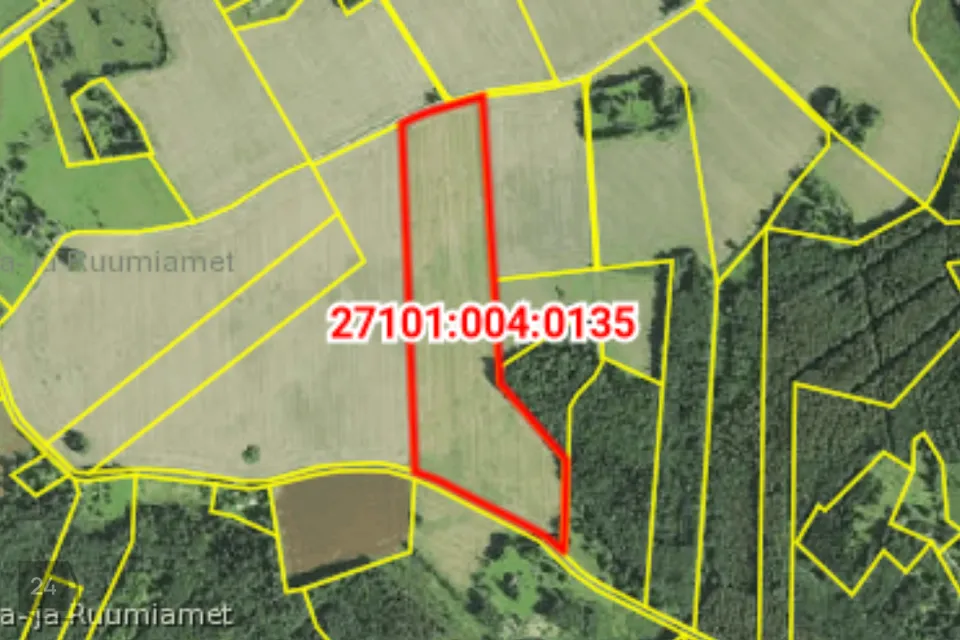 Maatulundusmaa, 133145 m² Maa  -  Türi vald, Kurla küla - foto 2