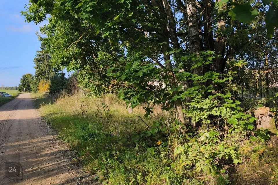 Maatulundusmaa, 1880 m² Maa  -  Võru vald, Lilli-Anne küla - foto 3