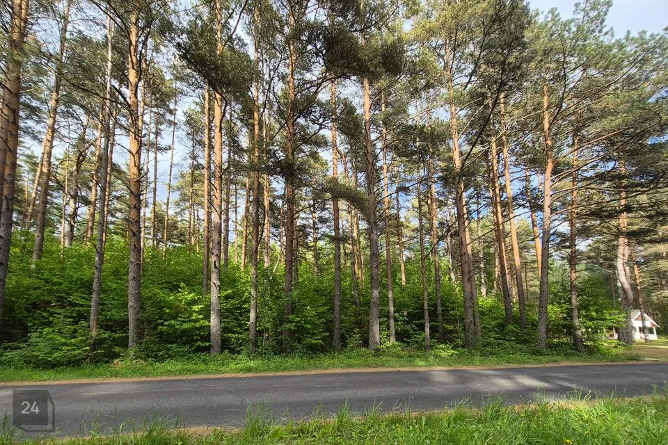 Maatulundusmaa, 5154 m² участок в Lääne-Nigula vald, Paslepa küla / Pasklep