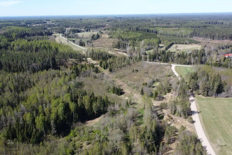 Maatulundusmaa, 179494 m² Maa - Rõuge vald, Märdi küla - foto 2