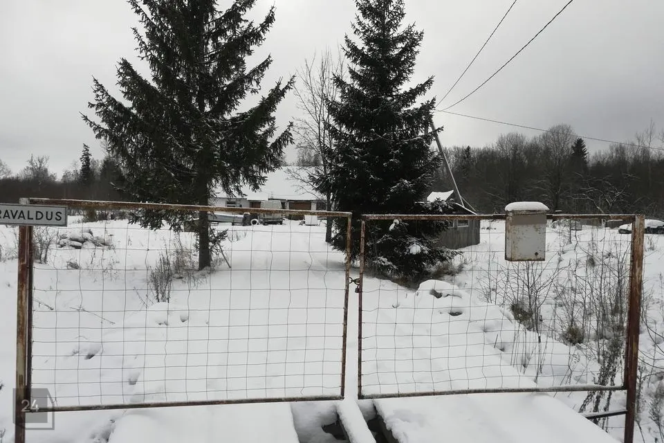 Maatulundusmaa, 29100 m² Maa  -  Narva-Jõesuu linn, Soldina küla