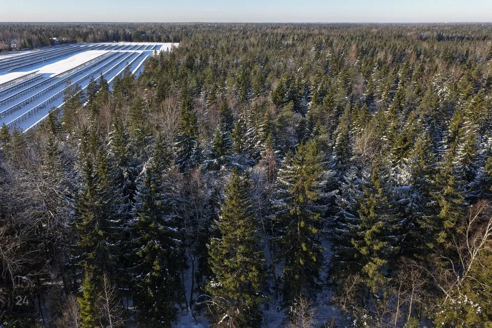 Maatulundusmaa, 52100 m² участок в Saue vald, Maidla küla - фото 5