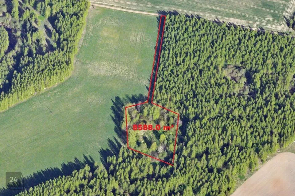 Elamumaa, 8588 m² Maa - Räpina vald, Sikakurmu küla - foto 2