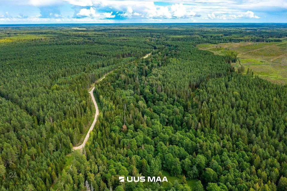 Maatulundusmaa, 23700 m² участок в Anija vald, Pillapalu küla - фото 2