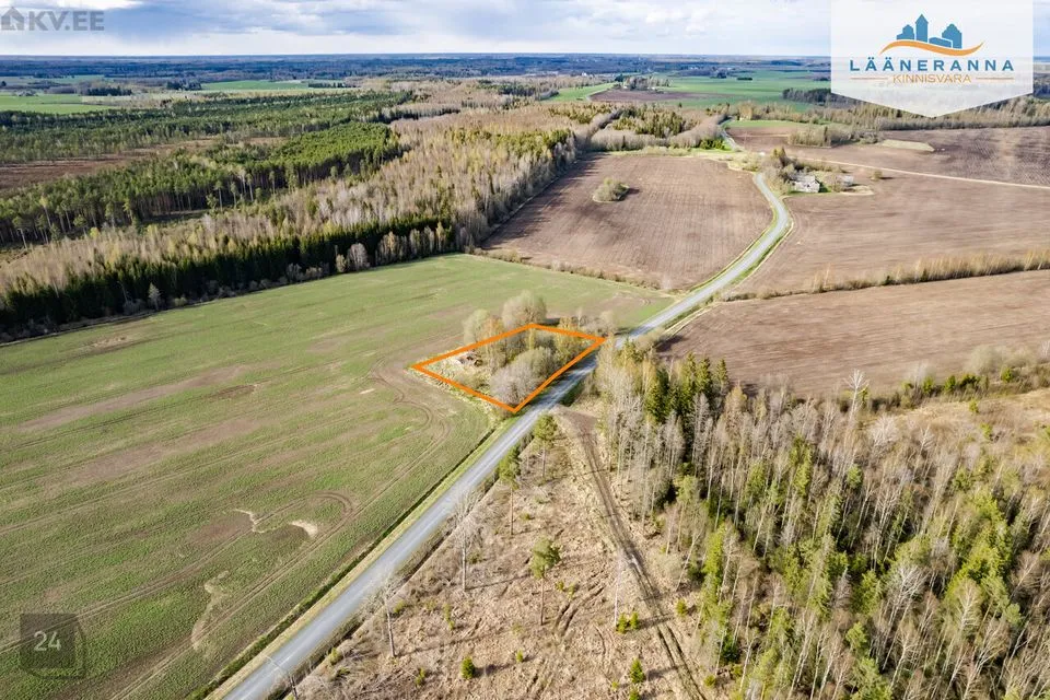 Sihtotstarbeta maa, 3126 m² Maa - Türi vald, Vilita küla - foto 4